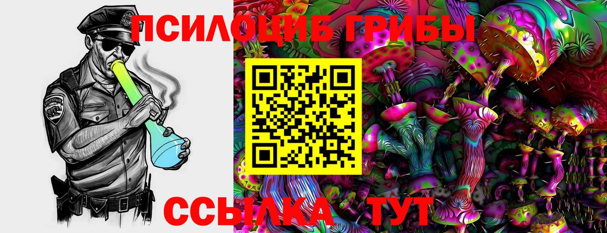 Псилоцибиновые грибы мицелий  Вход с VPN  Псилоцибиновые грибы ЛСД  Йошкар-Ола 
