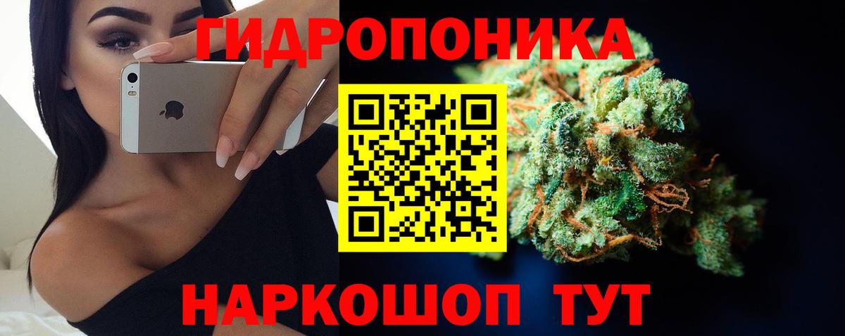 Каннабис ГИДРОПОН  Марихуана AK-47  Вход с VPN  Йошкар-Ола 